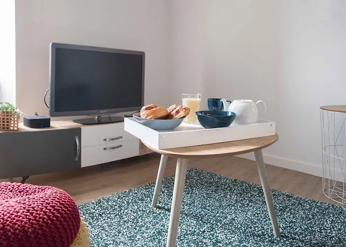 Le Cocon Des Volcans #confort#parking * קלרמונט-פרנד