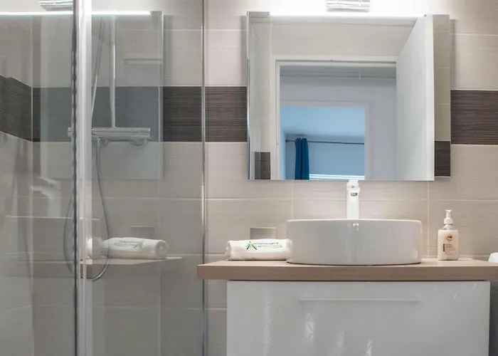 Le Cocon Des Volcans #confort#parking * קלרמונט-פרנד